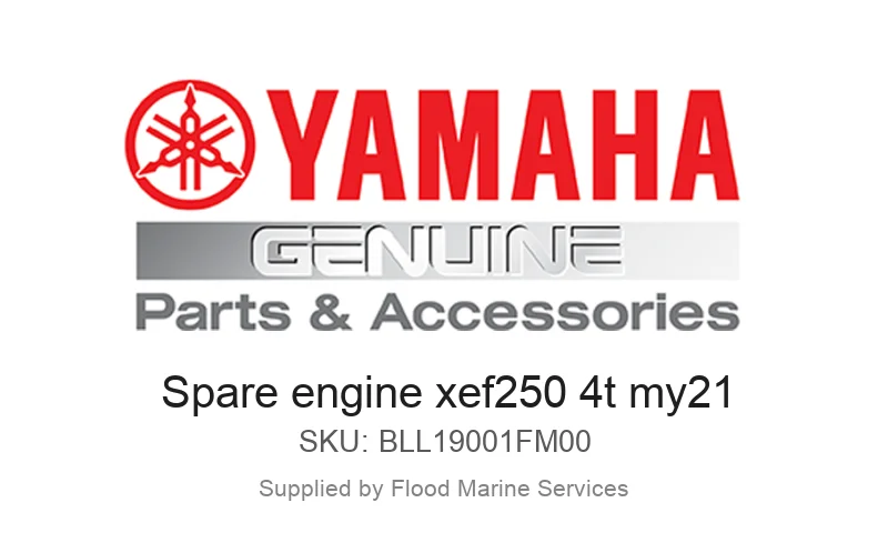 Spare engine xef250 4t my21
