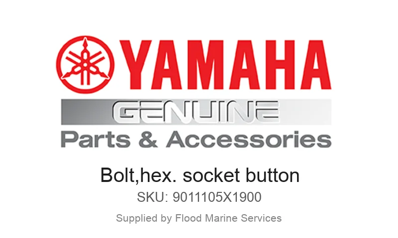 Bolt,hex. socket button