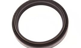Oil seal