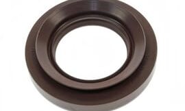Oil seal
