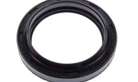 Oil seal