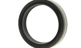 Oil seal