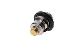 Yamaha 4BA124110100 Thermostat