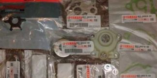 Genuine Yamaha Water Pump repair kit