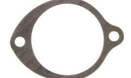 Genuine Yamaha Gasket, lower casing cap