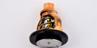 Genuine Yamaha Thermostat