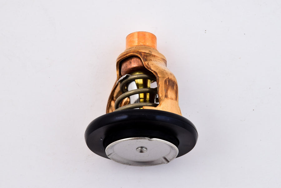 Yamaha 6AW124110000 Thermostat