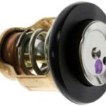 Genuine Yamaha 6CE124110000 - Thermostat - Supplied by Flood Marine