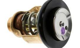 Genuine Yamaha Thermostat