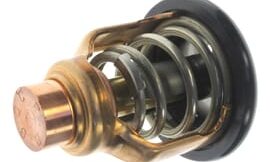 Genuine Yamaha Thermostat