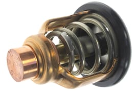 Yamaha 6DA124110100 Thermostat