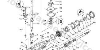 Genuine Yamaha Clutch, dog