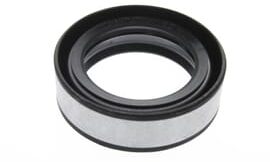 Oil seal