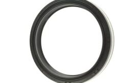 Oil seal