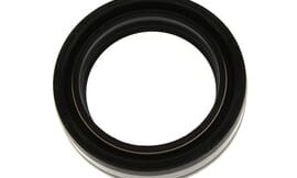 Oil seal