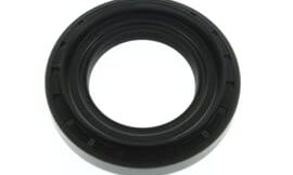 Oil seal