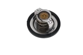 Yamaha 29L124110100 Thermostat