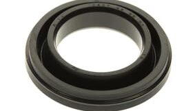 Oil seal