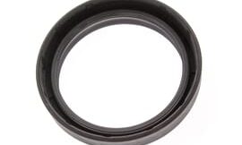 Oil seal