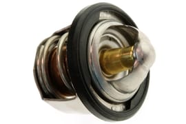 Yamaha 2TV124110000 Thermostat