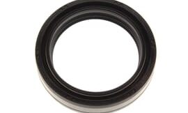 Oil seal