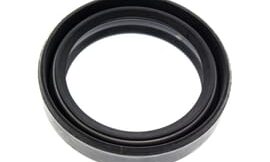 Oil seal