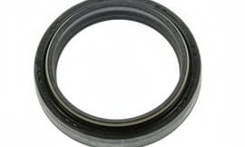 Oil seal