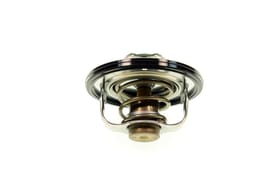 Yamaha 4FM124100000 Thermostat assy