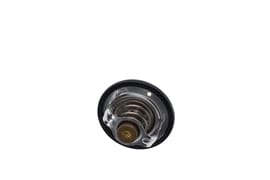 Yamaha 4FM124100100 Thermostat assy