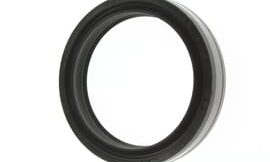 Oil seal