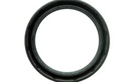 Oil seal