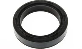 Oil seal