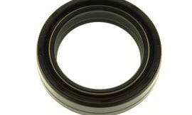 Oil seal