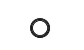 Oil seal