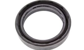 Oil seal