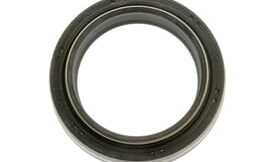 Oil seal
