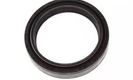 Oil seal