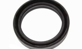 Oil seal