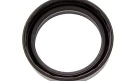 Oil seal