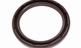 Oil seal