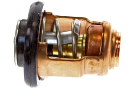 Yamaha 69M124110100 Thermostat
