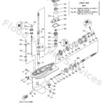 Genuine Yamaha 69W45301008D - Casing, lower - Supplied by Flood Marine