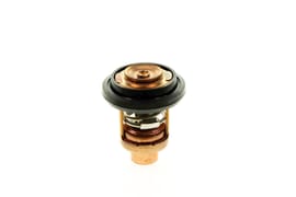 Yamaha 6E5124110100 Thermostat