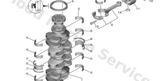 Genuine Yamaha Piston ring set (0.25mm o/s)