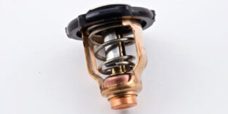 Genuine Yamaha Thermostat