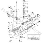 Genuine Yamaha 6H145301038D - Casing, lower - Supplied by Flood Marine