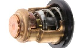 Genuine Yamaha Thermostat