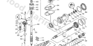 Genuine Yamaha Lower Casing
