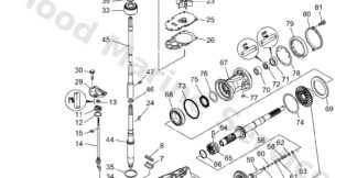 Genuine Yamaha Gear set