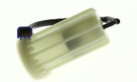 Cup, filter (with tag)